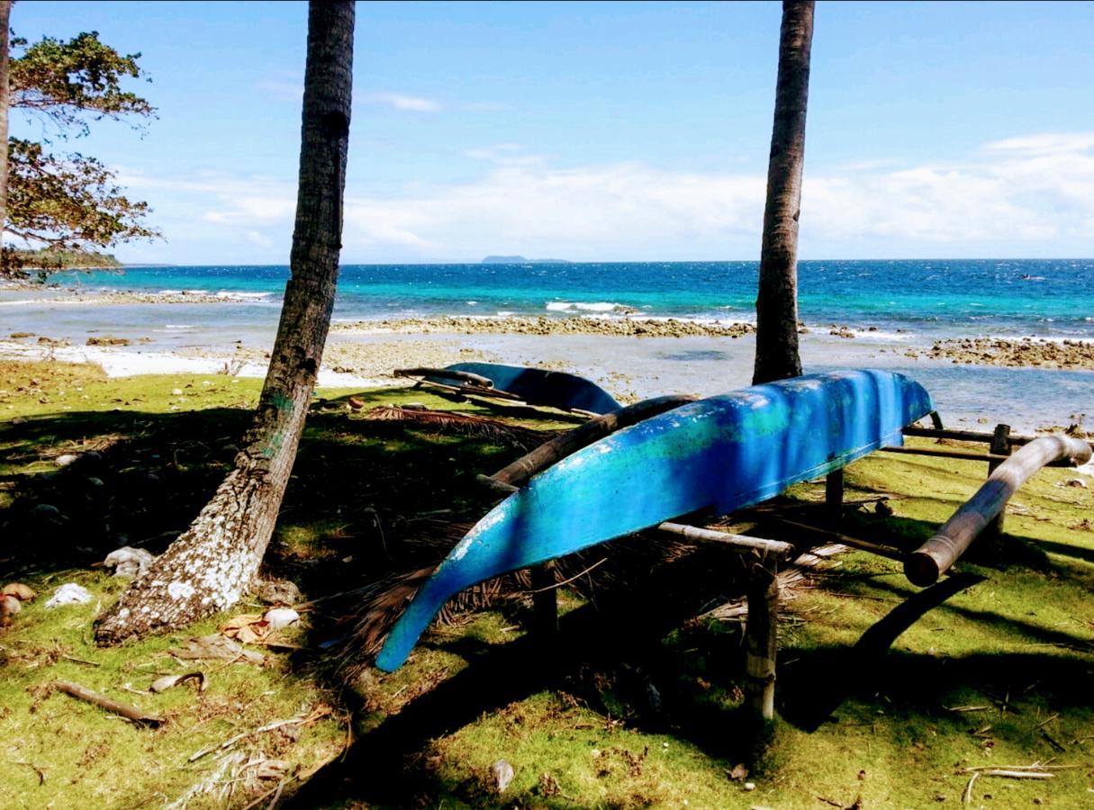Grandview Cottages Resort Siaton المظهر الخارجي الصورة